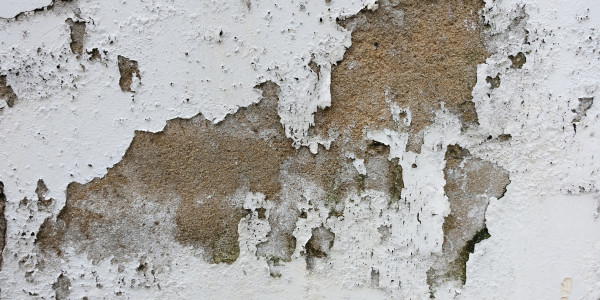 Pintar Fachadas de Empresas / Negocios / Locales Comerciales en Rivas - Vaciamadrid · Pintura Antihumedad / Antimoho para Humedades / Moho