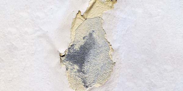 Pintar Fachadas de Empresas / Negocios / Locales Comerciales en Rivas - Vaciamadrid · Impermeabilización de Filtraciones de Agua y Humedad