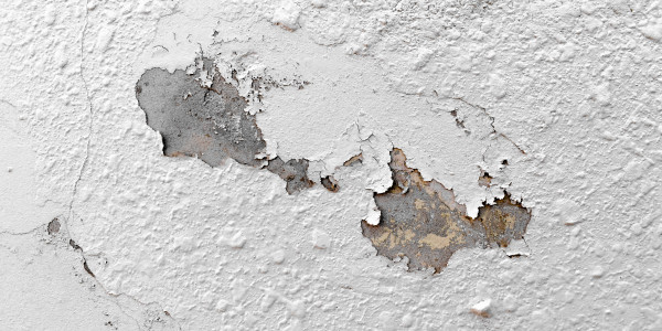 Pintar Fachadas de Naves Industriales, Fábricas y Almacenes Rivas - Vaciamadrid · Pintura Antihumedad / Antimoho para Humedades / Moho